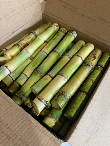 Sugar Cane Bulk Box - SALE!