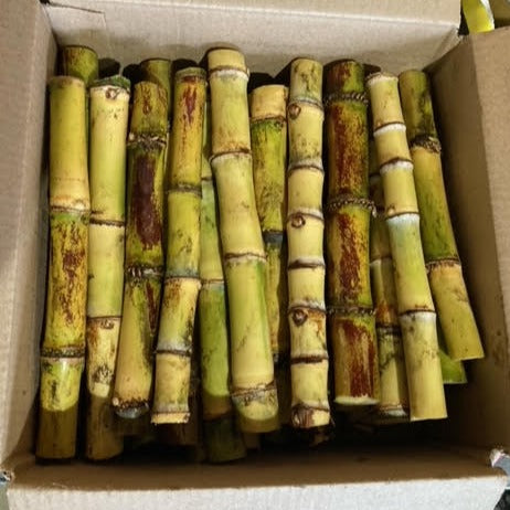 Sugar Cane Bulk Box - SALE!
