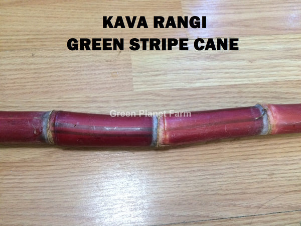 Sugar Cane Cuttings - Heirloom Varieties