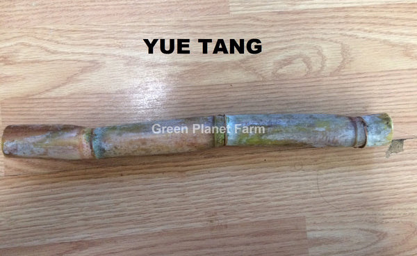 Sugar Cane Cuttings - Heirloom Varieties