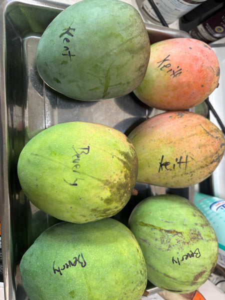 MANGO FRUIT BOX