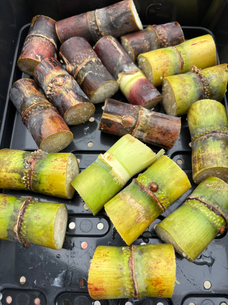 Sugarcane Bud Bags with Roots