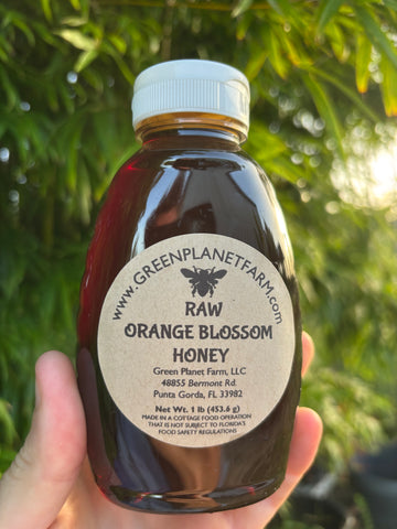 Raw Orange Blossom Honey -1 lb