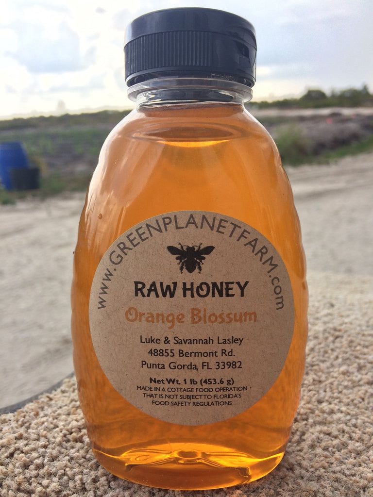 Raw Orange Blossom Honey -1lb